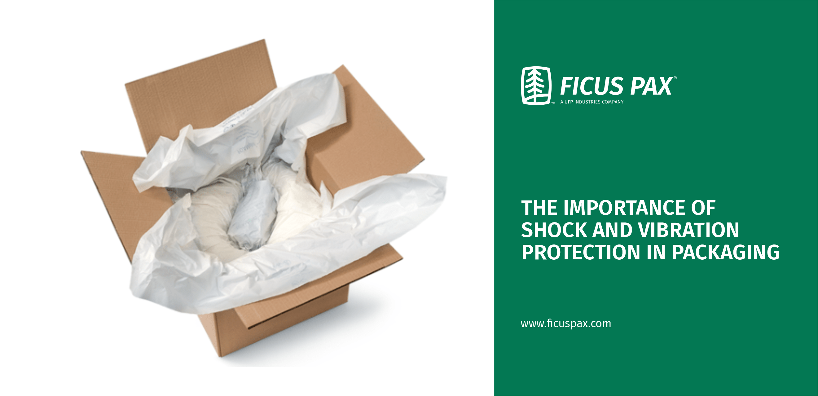 the-importance-of-shock-and-vibration-protection-in-packaging-ficus-pax